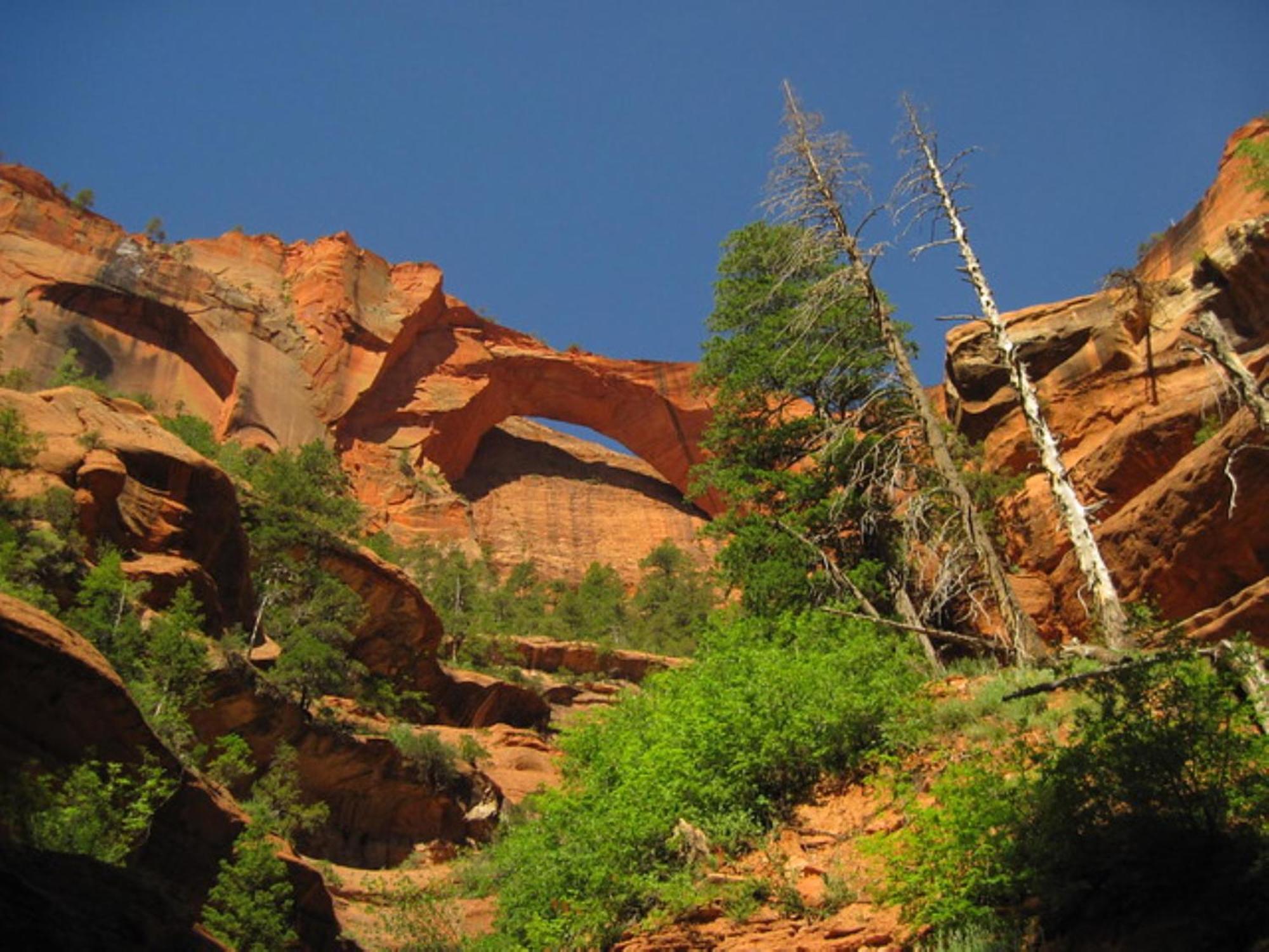 Holiday Inn La Verkin - Zion Park By Ihg Kültér fotó